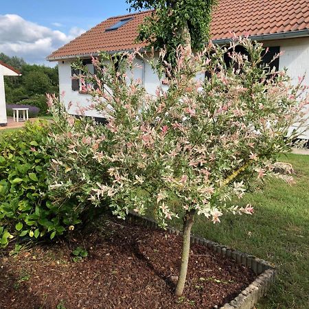 Villa Mijn Kleinhof Westouter Esterno foto