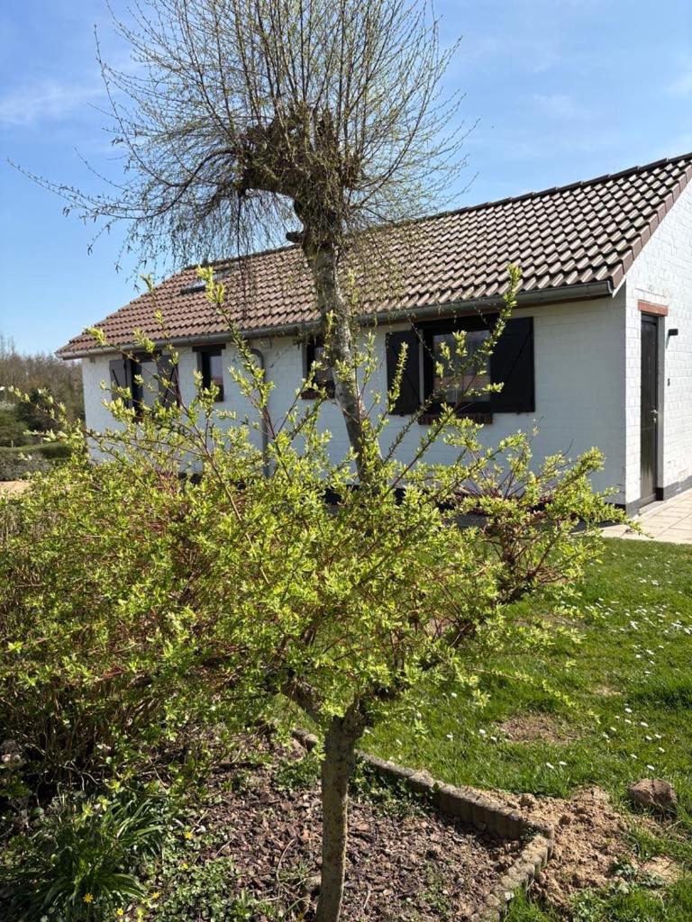 Villa Mijn Kleinhof Westouter Esterno foto